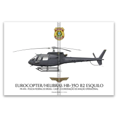 Eurocopter/Helibrás AS-350 B2 ESQUILO, PF, CAOP, PR-HFA