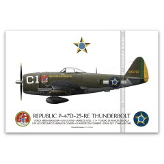 REPUBLIC P-47D-28-RE THUNDERBOLT, S/N 44-19666, B6, 1º GAVCA - (cópia)