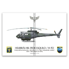 Helibrás HB-350B Esquilo / H-50, FAB 8786, 1º/11º GAV - Esquadrão Gavião