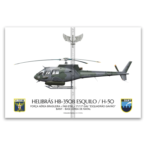 Helibrás HB-350B Esquilo / H-50, FAB 8786, 1º/11º GAV - Esquadrão Gavião