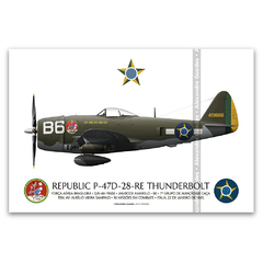 REPUBLIC P-47D-28-RE THUNDERBOLT, S/N 44-19666, B6, 1º GAVCA