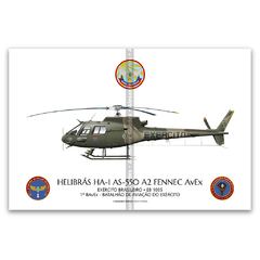 Helibrás HA-1 AS-550 A2 FENNEC AvEx, EB 1035, 1º BAVEX
