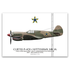 CURTISS P-40E-1 KITTYHAWK MK 1A, FAB, 01