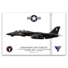 GRUMMAN F-14A TOMCAT, U.S. NAVY, BuNo 159853, VX-4 THE EVALUATORS.