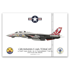 GRUMMAN F-14A TOMCAT, U.S. NAVY, BuNo 161621, NL 00, VF-111 SUN DOWNERS.