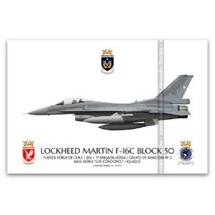 LOCKHEED MARTIN F-16C BLOCK 50 - FACH 856