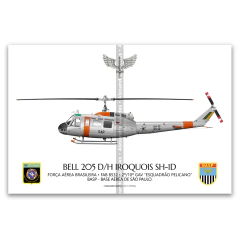 Bell 205 D/H Iroquois SH-1D, FAB 8532, 2º/10º GAV - Esquadrão Pelicano