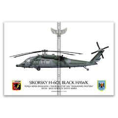 Sikorsky H-60L Black Hawk, FAB 8916, 5º/8º GAV, Esquadrão Pantera - comprar online