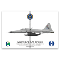 Northrop F-5E Tiger II, Fuerza Aérea Hondureña, FAH 4007 - comprar online