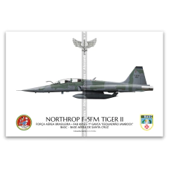 Northrop F-5FM Tiger II, FAB 4812, 1º GAVCA