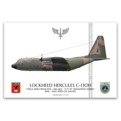 LOCKHEED HERCULES C-130H, FAB 2465