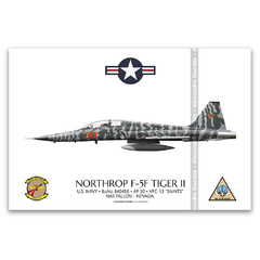 NORTHROP F-5F TIGER II, U.S. NAVY, BuNo 800456, AF 30, VFC-13.