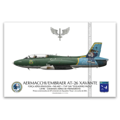 AERMACCHI/EMBRAER, AT-26 XAVANTE, FAB 4601, PACAU, SORBONE