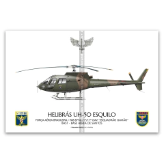 Helibrás HB-350B Esquilo / H-50, FAB 8774, 1º/11º GAV - Esquadrão Gavião
