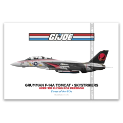 GRUMMAN F-14A TOMCAT • SKYSTRIKERS • G.I.JOE • MODELO AMERICANO