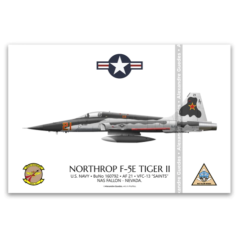 NORTHROP F-5E TIGER II, U.S. NAVY, BuNo 160792, AF 21, VFC-13.