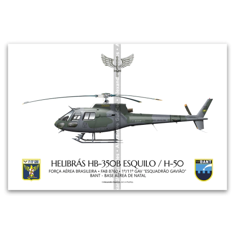 Helibrás HB-350B Esquilo / H-50, FAB 8760, 1º/11º GAV - Esquadrão Gavião