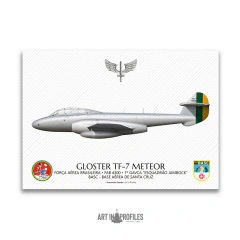 Pôster Gloster TF-7 Meteor, FAB 4300, Esquadrão Jambock