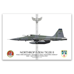Northrop F-5EM Tiger II, FAB 4876, 1º GAVCA
