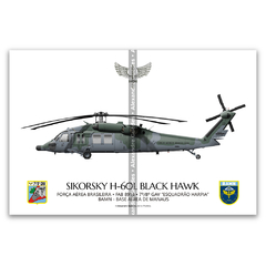 Sikorsky H-60L Black Hawk, FAB 8914, 7º/8º GAV, Esquadrão Harpia - comprar online