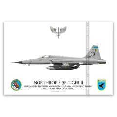NORTHROP F-5E TIGER II, FAB 4877, 1º/14º GAV