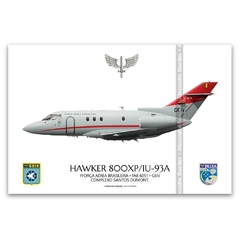 HAWKER 800XP / IU-93A, FAB 6051, GEIV