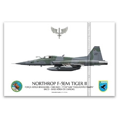 NORTHROP F-5EM TIGER II, FAB 4820, 1º/14º GAV