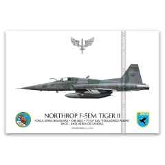 NORTHROP F-5EM TIGER II, FAB 4820, 1º/14º GAV