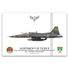 NORTHROP F-5E TIGER II, FAB 4824, 1º GAVCA