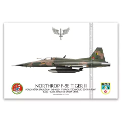 NORTHROP F-5E TIGER II, FAB 4832, 1º GAVCA