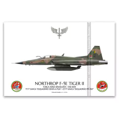 NORTHROP F-5E TIGER II, FAB 4849, 1º GAVCA