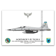 NORTHROP F-5E TIGER II, FAB 4856, 1º/14º GAV