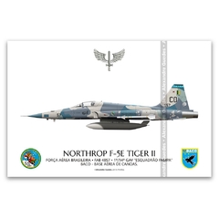 NORTHROP F-5E TIGER II, FAB 4857, 1º/14º GAV