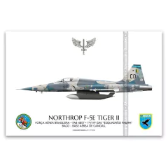 NORTHROP F-5E TIGER II, FAB 4857, 1º/14º GAV