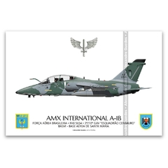 AMX INTERNACIONAL A-1B, FAB 5654, 3º/10º GAV