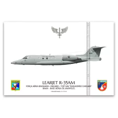 LEARJET R-35AM, FAB 6003, 1º/6º GAV