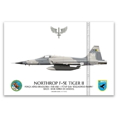 NORTHROP F-5E TIGER II, FAB 4861, 1º/14º GAV