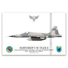 NORTHROP F-5E TIGER II, FAB 4861, 1º/14º GAV