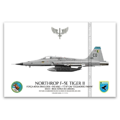 NORTHROP F-5E TIGER II, FAB 4865, 1º/14º GAV