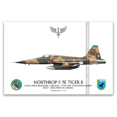 NORTHROP F-5E TIGER II, FAB 4870, 1.º/14.º GAV