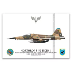 NORTHROP F-5E TIGER II, FAB 4870, 1.º/14.º GAV