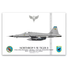 NORTHROP F-5E TIGER II, FAB 4873, 1º/14º GAV
