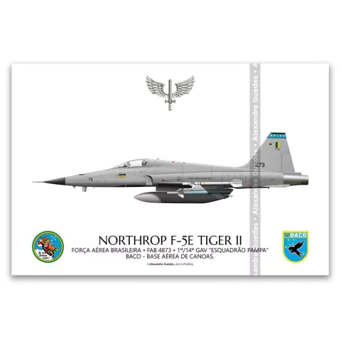 NORTHROP F-5E TIGER II, FAB 4873, 1º/14º GAV