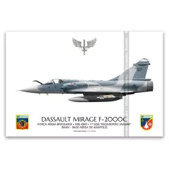 DASSAULT MIRAGE F-2000C, FAB 4940, 1º GDA