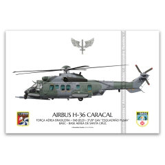 AIRBUS H-36 CARACAL, FAB 8519, 1º/8º GAV, ESQUADRÃO FALCÃO - (cópia)