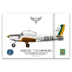 AEROTEC T-23 UIRAPURU, FAB 0976, 2º EIA, AFA