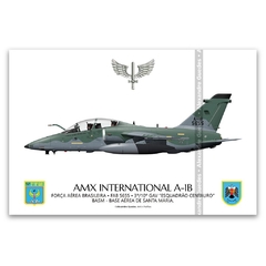 AMX INTERNACIONAL A-1B, FAB 5655, 3º/10º GAV