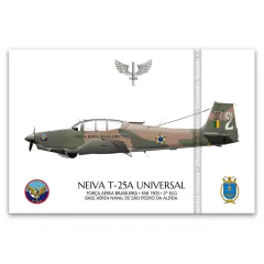 NEIVA T-25A UNIVERSAL, FAB 1903, 2ª ELO