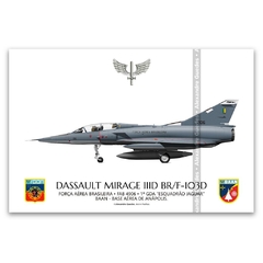 DASSAULT MIRAGE IIID BR/F-103D, FAB 4906, 1º GDA