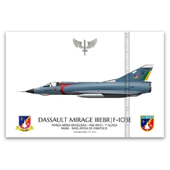DASSAULT MIRAGE IIIE BR/F-103E, FAB 4910, 1ª ALADA - CINZA